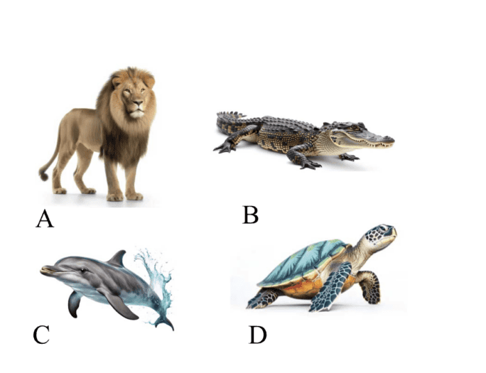 CogAT Sentence Completion Sample Question