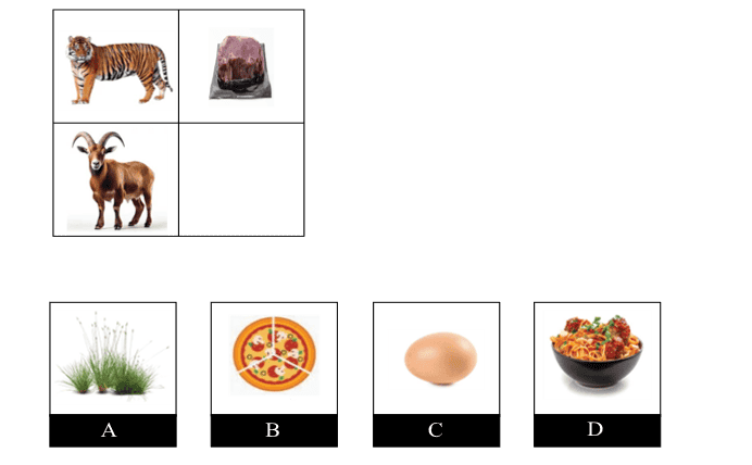 CogAT Sample Question - Picture Analogies