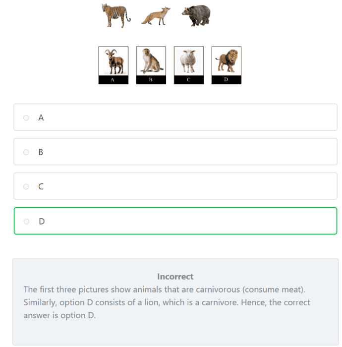cogat-grade-2-practice-package-screenshot7