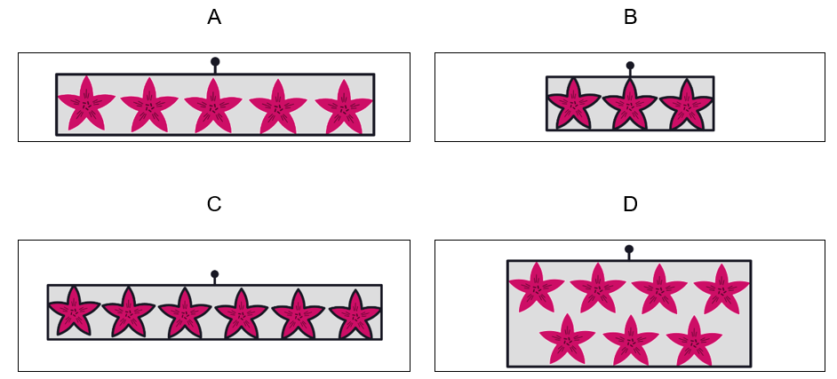 NWEA MAP Test 2nd Grade Math Sample Question