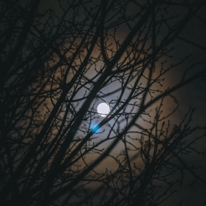 Ritual Kit – A Sacred Practice for Every Phase  7